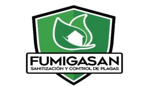 fumisgan2